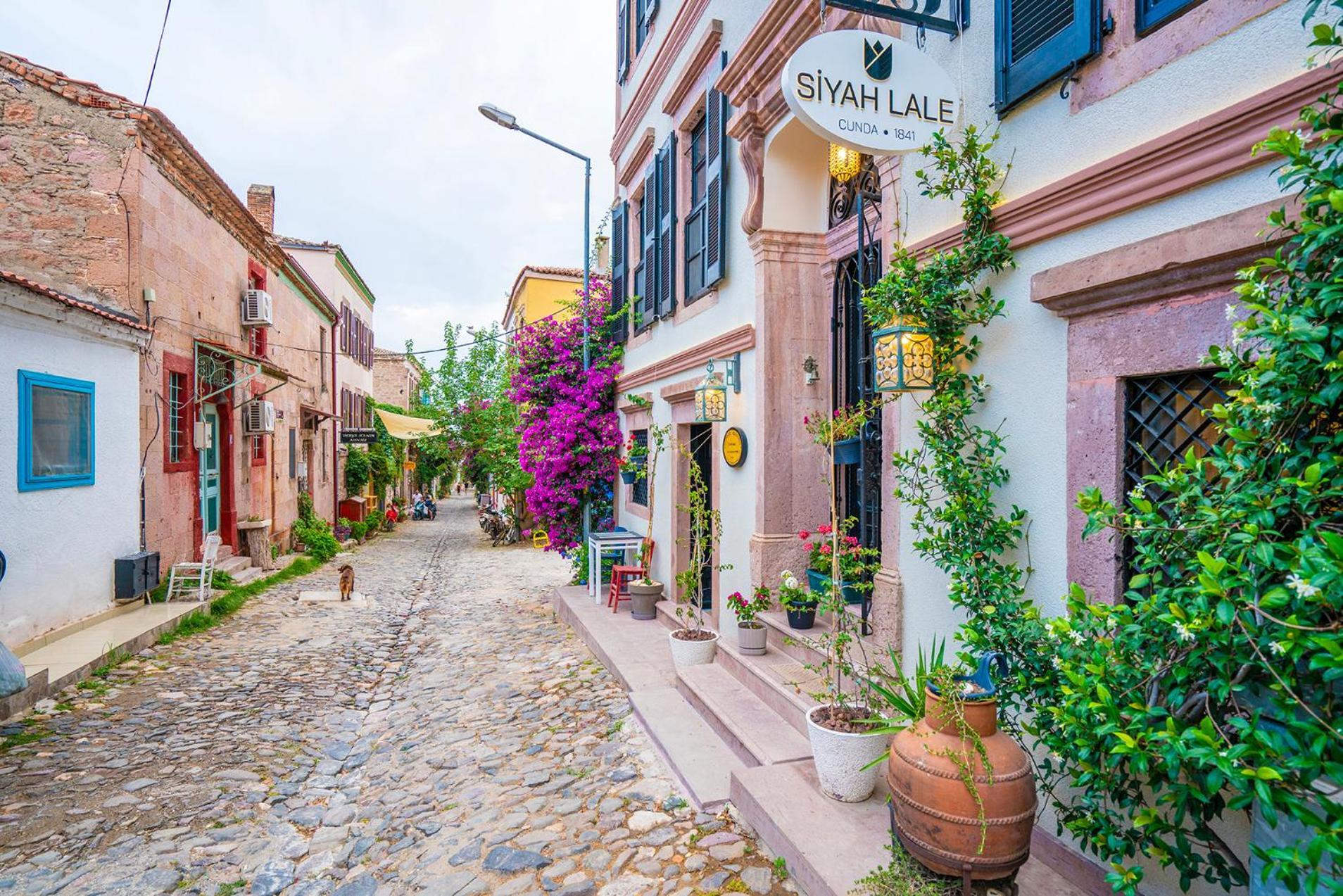Siyah Lale Cunda 1841 (Adults Only) Hotell Ayvalı Eksteriør bilde