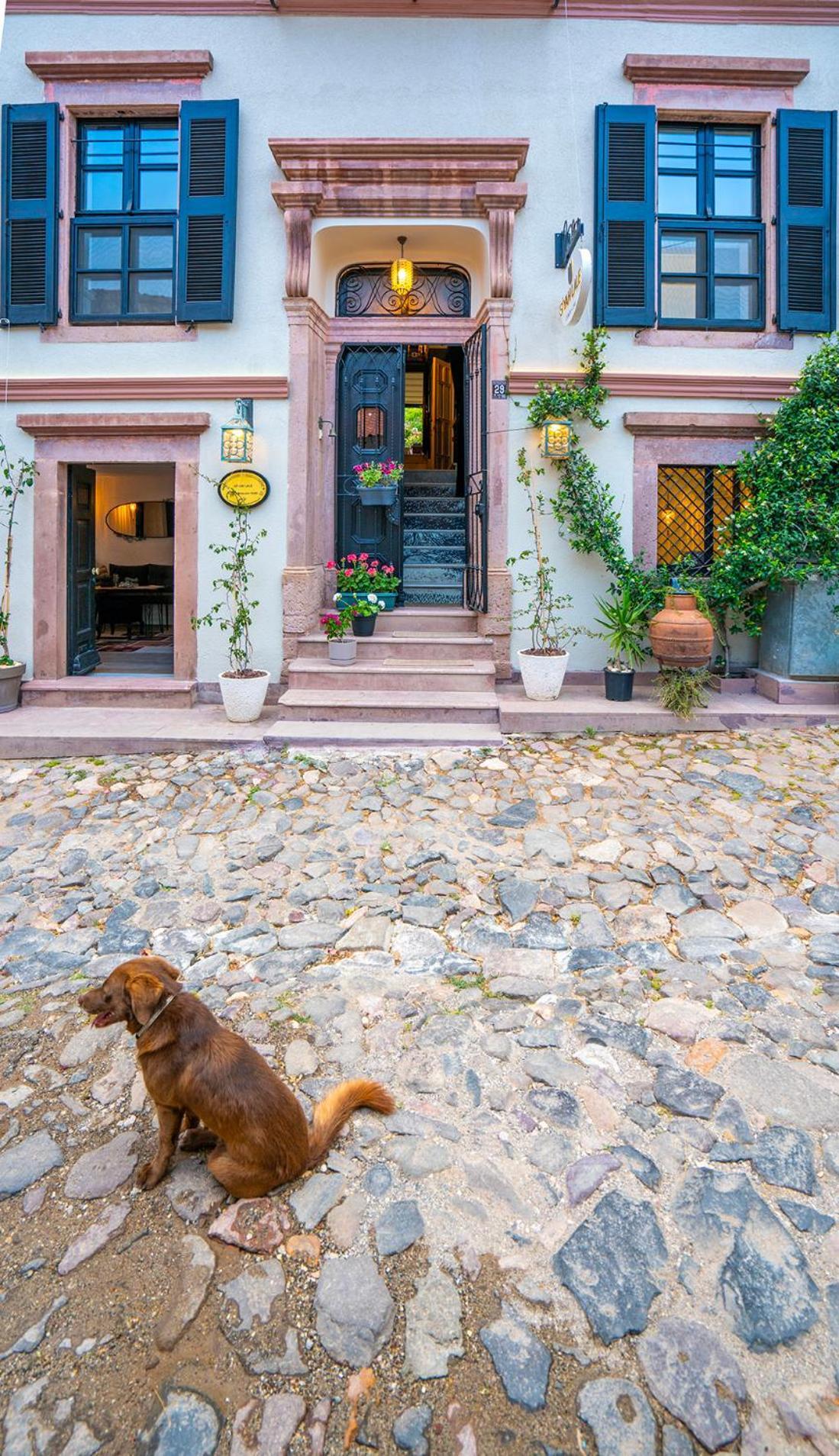 Siyah Lale Cunda 1841 (Adults Only) Hotell Ayvalı Eksteriør bilde